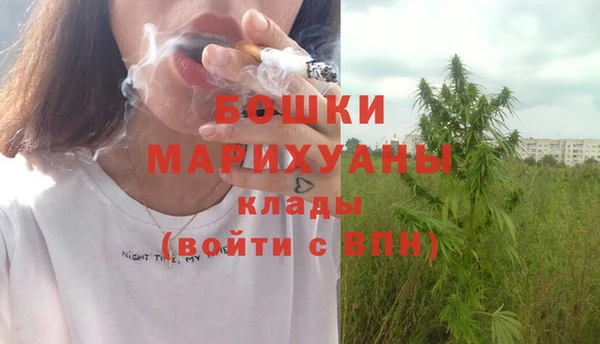 spice Бородино